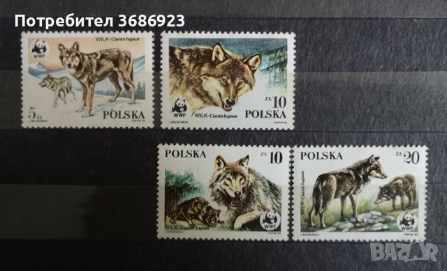 Полша вълци-1985г.