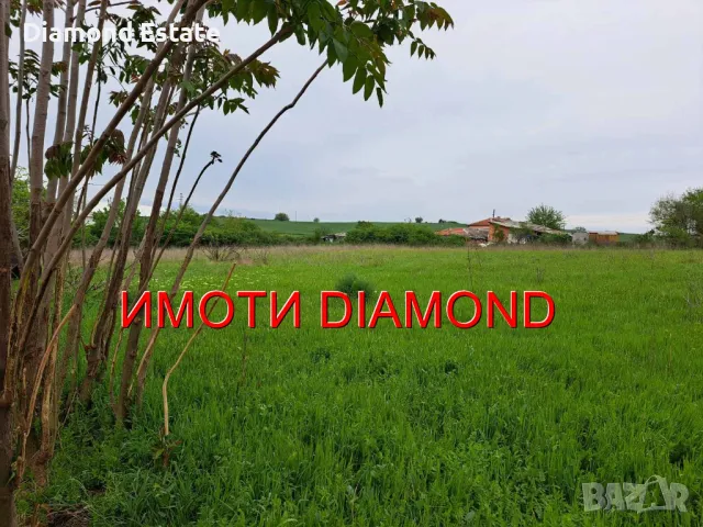 Двуетажна къща в село Голямо Асеново общ. Димитровград, снимка 6 - Къщи - 48046955