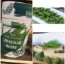 Петмез от зелени борови шишарки, снимка 1 - Хранителни добавки - 42080268