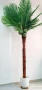 Палма изкуствена 240 см, снимка 1