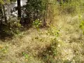 Градинар, земеделец, каруцар..., снимка 2
