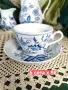 Син лук Tirschenreuther Bavaria сетове, снимка 5