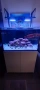 Морски аквариум red sea 300g2+, снимка 7