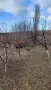 Продавам УПИ с. Мулдава, снимка 3