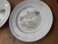 Български порцелан с риби - две чинии, чиния, снимка 2