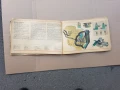 Книга автомобил ВАЗ, снимка 3