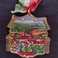 Стар медал Германия GRUNENPLAN 1979 година за колекция - 25926, снимка 4 - Антикварни и старинни предмети - 34607423
