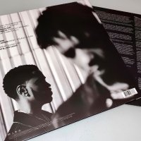 Double or Nothing /Big Sean and Metro Boomin album/LP , снимка 2 - Грамофонни плочи - 41681091