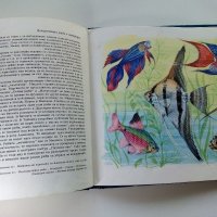 Чудеса на природата - З. Зорге, Х. Шрайер - 1971г. , снимка 8 - Детски книжки - 41855286