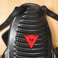 Dainese Wave D1 Air Back Protector, снимка 6 - Други спортове - 41775025