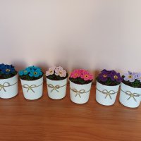 Декоративни плетени цветя в саксийки, снимка 9 - Изкуствени цветя - 41771111