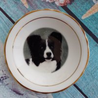 порцеланова декоративна колекционерска чинийка с куче от Англия, снимка 1 - Антикварни и старинни предмети - 41015715