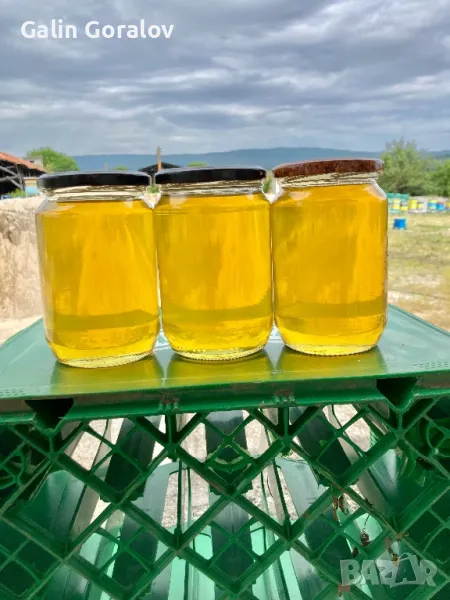 Мед Акация, снимка 1