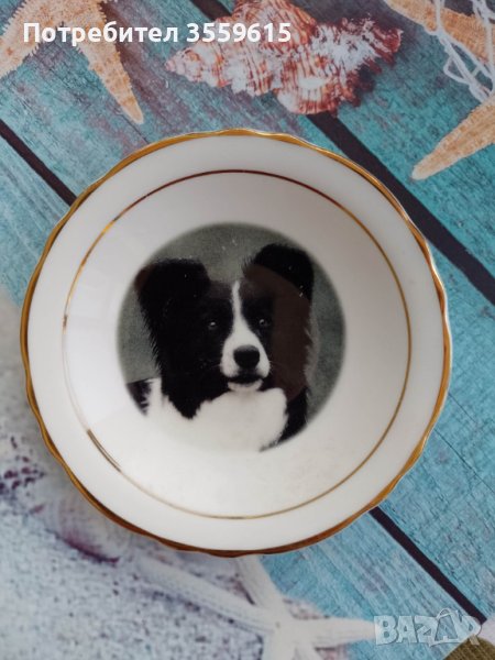 порцеланова декоративна колекционерска чинийка с куче от Англия, снимка 1
