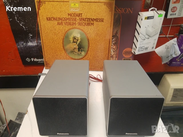 Тонколони PANASONIC SB-NS55, снимка 2 - Тонколони - 50688829