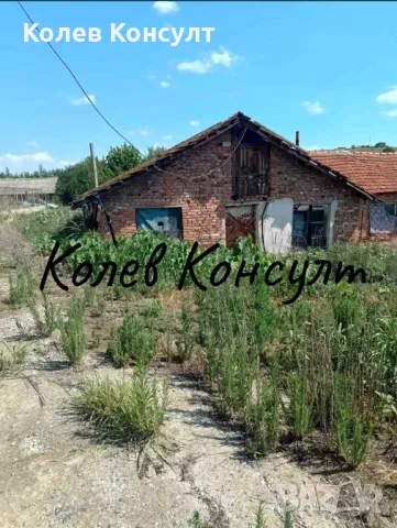 Продава животновъдна ферма в село Голямо Асеново, снимка 11 - Парцели - 49352738