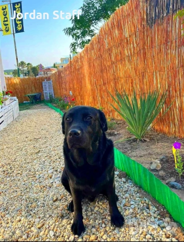 Отдавам парцел под наем за поставяне на каравана ,кемпер или Вендинг автомати и реклама- плаж Каваци, снимка 10 - Парцели - 53096443