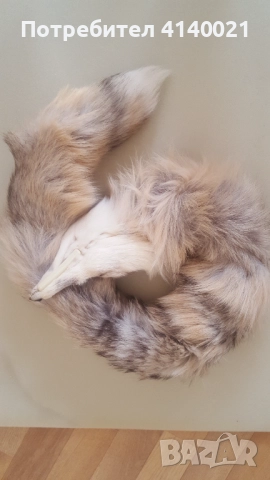 Яка от лисица , снимка 4 - Шалове - 52934895