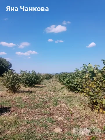 БИО ЛЕШНИК ЧЕРУПКА, снимка 2 - Други услуги - 56167945