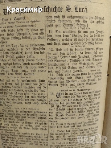 Библията на Лутер 1893 г., снимка 12 - Антикварни и старинни предмети - 51000438