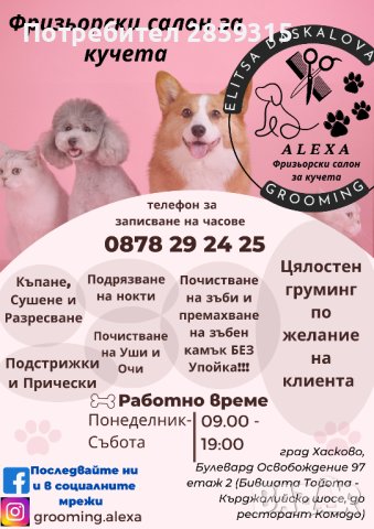 Grooming salon Alexa by Elitsa Daskalova - груминг салон в град Хасково, снимка 1 - Ветеринари и услуги - 41871844