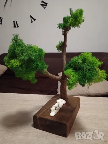 Бонсай от Скандинавски мъх , снимка 4 - Декорация за дома - 48915324