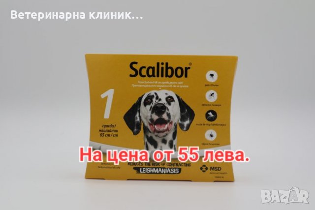 Противопаразитна каишка 🐶, снимка 1 - Ветеринари и услуги - 39979931