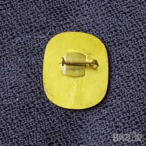 Бронзова соц. значка - 30 г. Бг авиомоделизъм , снимка 2 - Колекции - 49965317