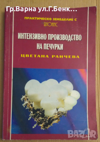 Интензивно производство на печурки  Цветана Ранчева