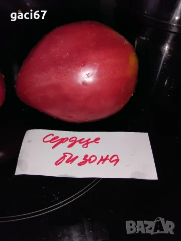Семена домати 2, снимка 15 - Сортови семена и луковици - 55722619
