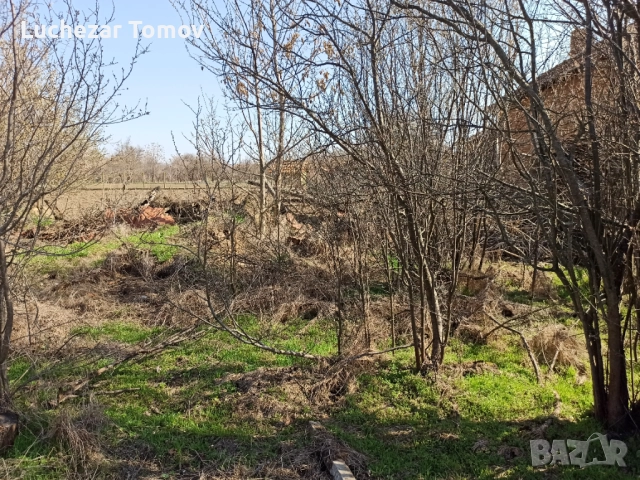 Продажба на Къща обл. Плевен, снимка 3 - Къщи - 52646837