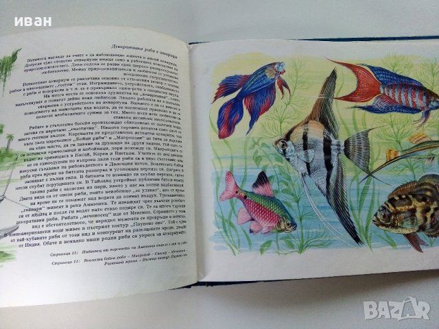 Чудеса на природата - З. Зорге, Х. Шрайер - 1971г. , снимка 8 - Детски книжки - 41855286