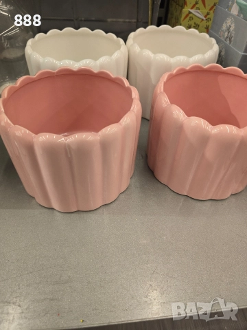 саксии кашпи 