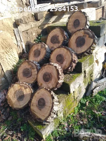 шаиби орехови 10.см дебели на 45см.