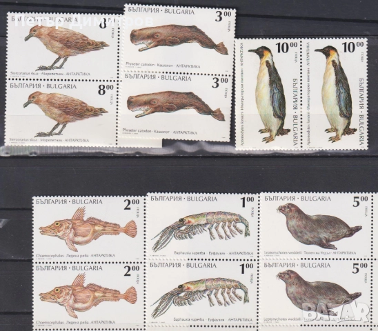 Чисти марки Авиация Самолети Фауна 1995 от България , снимка 6 - Филателия - 52829409