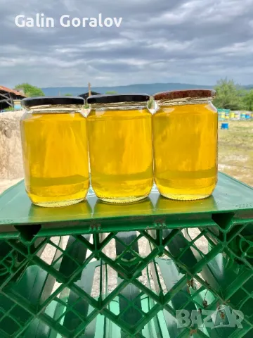 Мед Акация, снимка 1