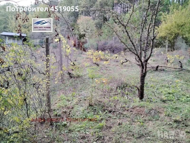 Продавам Парцел в гр Варна само за 23 000 €, снимка 8 - Други услуги - 53494998