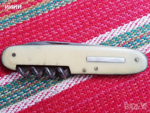 Ножка слонова кост 