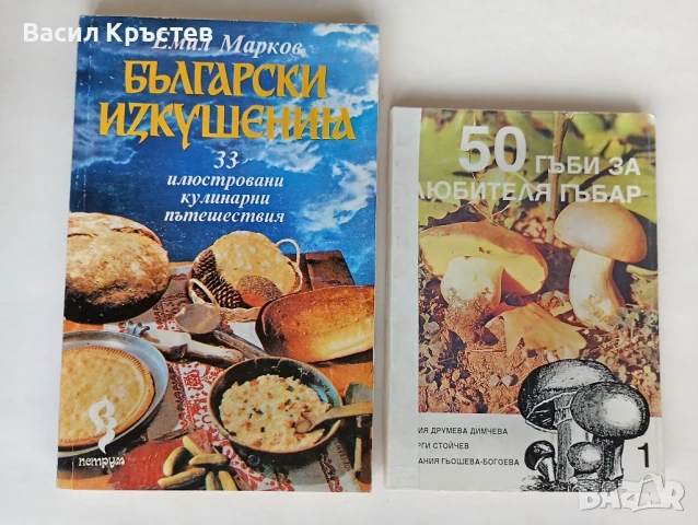 Книги 9 бр., - Лечебните гъби в България, - за билките 2 бр., БГ изкушения, - за юноши и др., снимка 5 - Специализирана литература - 51407194