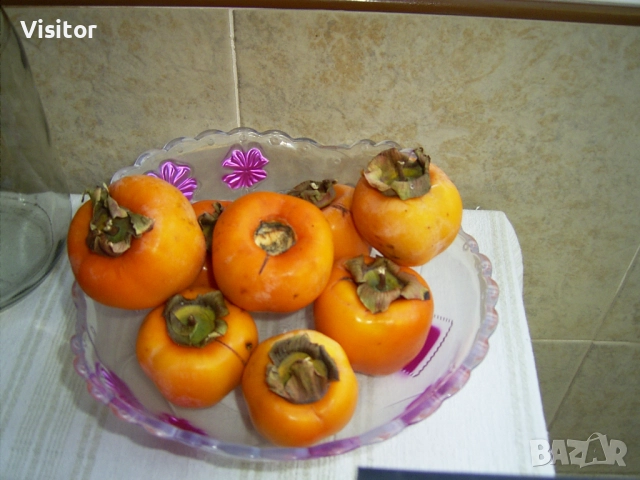 фотоапарат Ricoh Caplio RR30, снимка 9 - Фотоапарати - 52550381