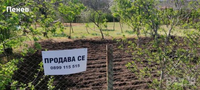 Място край Добрич, снимка 4 - Парцели - 51309114