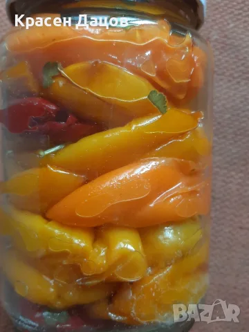 Печени камби туршия, снимка 3 - Домашни продукти - 53508751