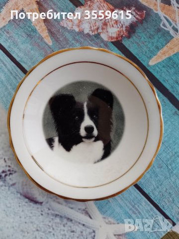 порцеланова декоративна колекционерска чинийка с куче от Англия