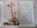 Книга "Красота и куриози в раст.свят-А.Железаров" - 120 стр., снимка 5