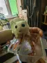 Женска летяща захарна катеричка , снимка 4