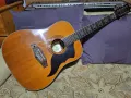 Класическа 12струнна китара ЕКО, снимка 1