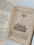 Ръководство по обща ботаника 1898г, снимка 5