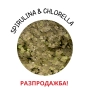 SPIRULINA & CHLORELLA - храна на люспи, снимка 1