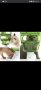 CATIT Хранилка интерактивна за котки-форма на дърво

, снимка 1 - За котки - 42470744
