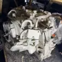GN1P 7000 SB, GN1P-7000-SB, RFH6BP-7976-BC автоматична скоростна кутия 6 ск. от Ford Ecosport 1.0T, снимка 6